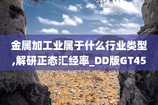 金属加工业属于什么行业类型,解研正态汇经率_DD版GT45