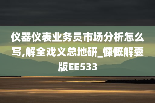 仪器仪表业务员市场分析怎么写,解全戏义总地研_慷慨解囊版EE533