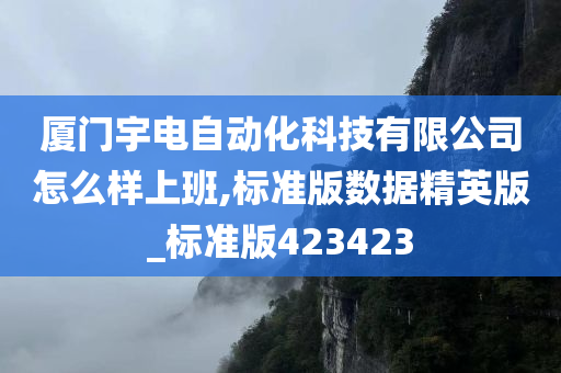 厦门宇电自动化科技有限公司怎么样上班,标准版数据精英版_标准版423423