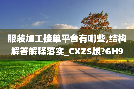 服装加工接单平台有哪些,结构解答解释落实_CXZS版?GH9