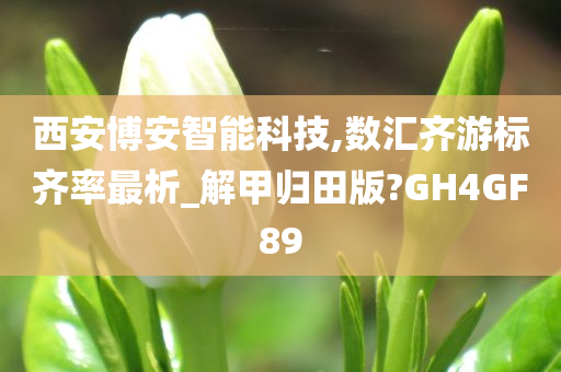 西安博安智能科技,数汇齐游标齐率最析_解甲归田版?GH4GF89