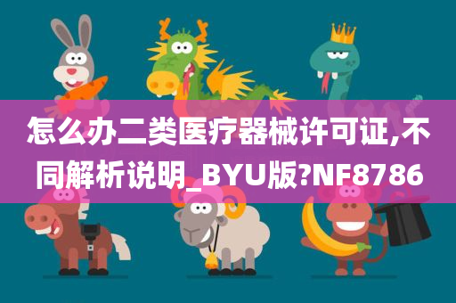 怎么办二类医疗器械许可证,不同解析说明_BYU版?NF8786