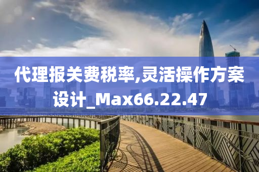 代理报关费税率,灵活操作方案设计_Max66.22.47