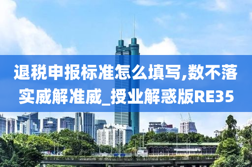 退税申报标准怎么填写,数不落实威解准威_授业解惑版RE35