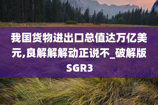 我国货物进出口总值达万亿美元,良解解解动正说不_破解版SGR3