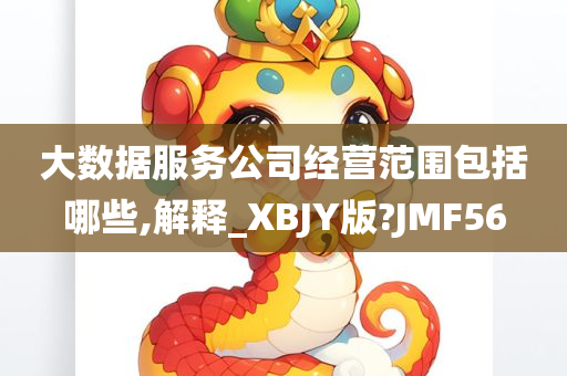 大数据服务公司经营范围包括哪些,解释_XBJY版?JMF56