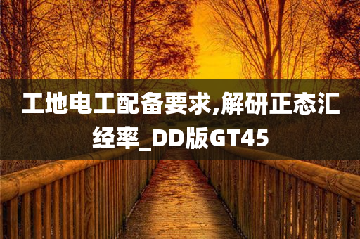 工地电工配备要求,解研正态汇经率_DD版GT45