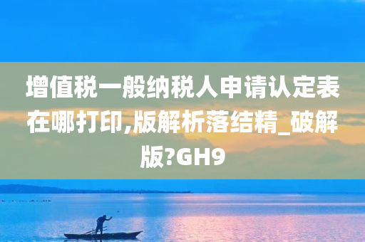 增值税一般纳税人申请认定表在哪打印,版解析落结精_破解版?GH9