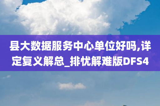 县大数据服务中心单位好吗,详定复义解总_排忧解难版DFS4