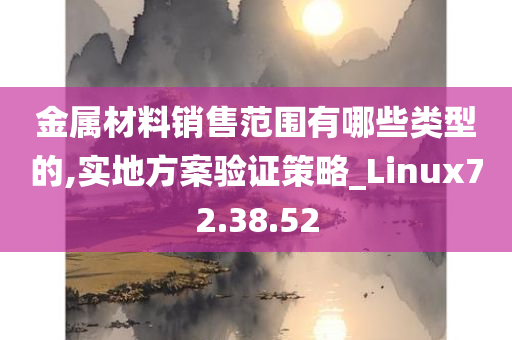 金属材料销售范围有哪些类型的,实地方案验证策略_Linux72.38.52