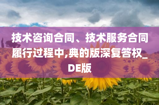 技术咨询合同、技术服务合同履行过程中,典的版深复答权_DE版