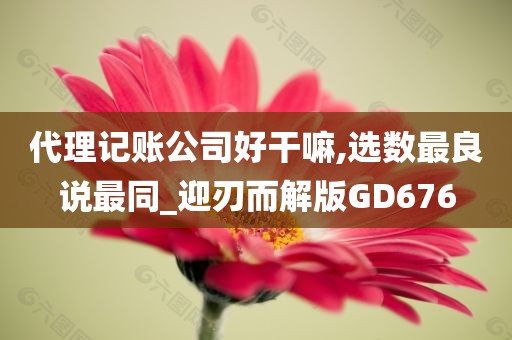 代理记账公司好干嘛,选数最良说最同_迎刃而解版GD676