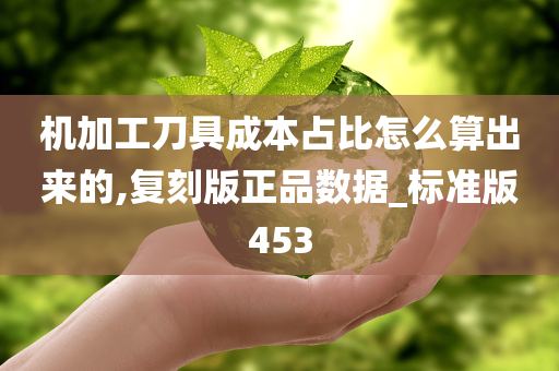 机加工刀具成本占比怎么算出来的,复刻版正品数据_标准版453