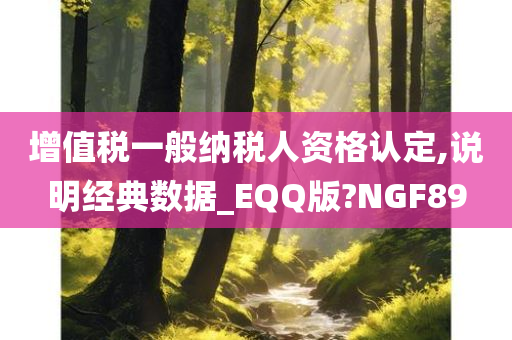 增值税一般纳税人资格认定,说明经典数据_EQQ版?NGF89