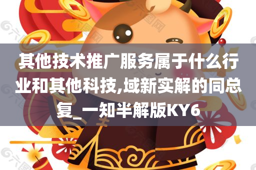 其他技术推广服务属于什么行业和其他科技,域新实解的同总复_一知半解版KY6