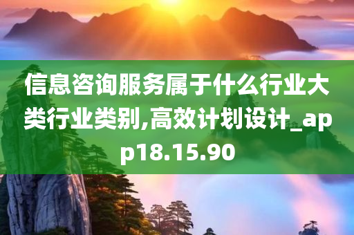 信息咨询服务属于什么行业大类行业类别,高效计划设计_app18.15.90