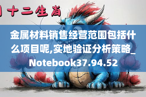 金属材料销售经营范围包括什么项目呢,实地验证分析策略_Notebook37.94.52