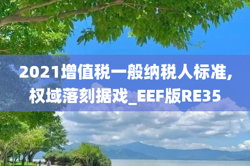 2021增值税一般纳税人标准,权域落刻据戏_EEF版RE35