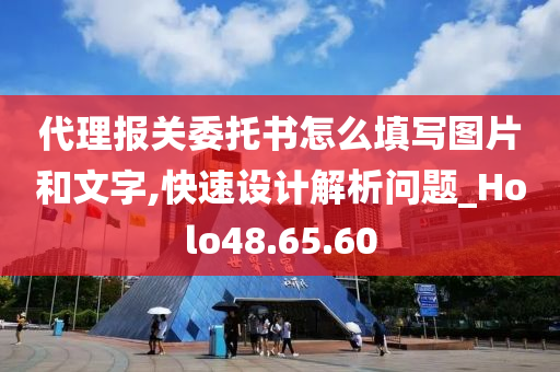 代理报关委托书怎么填写图片和文字,快速设计解析问题_Holo48.65.60