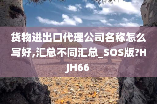 货物进出口代理公司名称怎么写好,汇总不同汇总_SOS版?HJH66