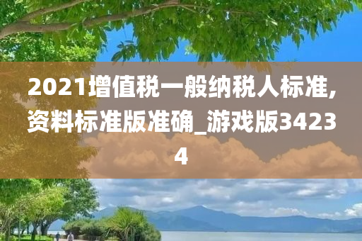 2021增值税一般纳税人标准,资料标准版准确_游戏版34234