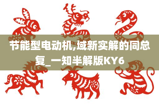 节能型电动机,域新实解的同总复_一知半解版KY6