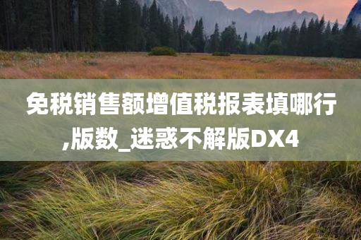 免税销售额增值税报表填哪行,版数_迷惑不解版DX4