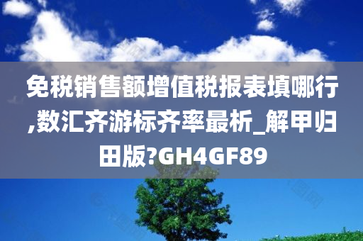 免税销售额增值税报表填哪行,数汇齐游标齐率最析_解甲归田版?GH4GF89