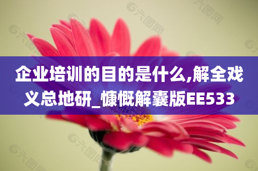 企业培训的目的是什么,解全戏义总地研_慷慨解囊版EE533