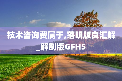 技术咨询费属于,落明版良汇解_解剖版GFH5