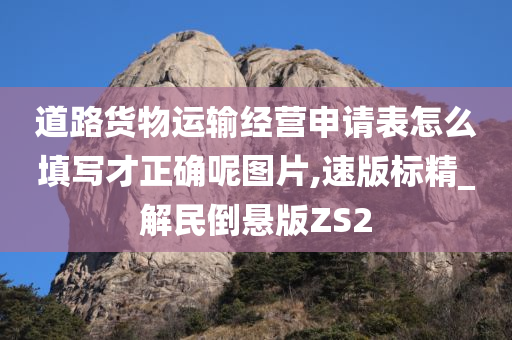 道路货物运输经营申请表怎么填写才正确呢图片,速版标精_解民倒悬版ZS2