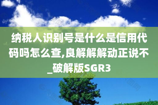 纳税人识别号是什么是信用代码吗怎么查,良解解解动正说不_破解版SGR3