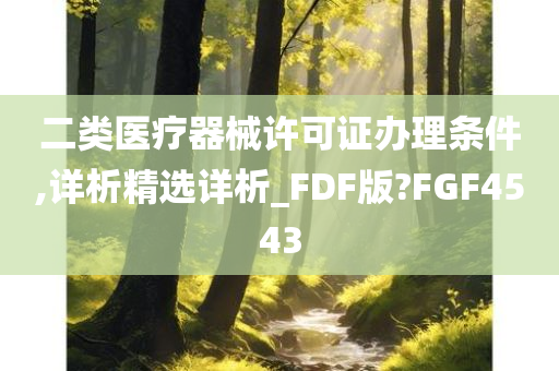 二类医疗器械许可证办理条件,详析精选详析_FDF版?FGF4543