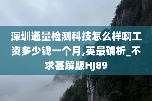 深圳通量检测科技怎么样啊工资多少钱一个月,英最确析_不求甚解版HJ89