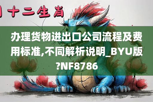 办理货物进出口公司流程及费用标准,不同解析说明_BYU版?NF8786