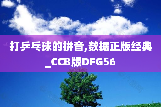 打乒乓球的拼音,数据正版经典_CCB版DFG56