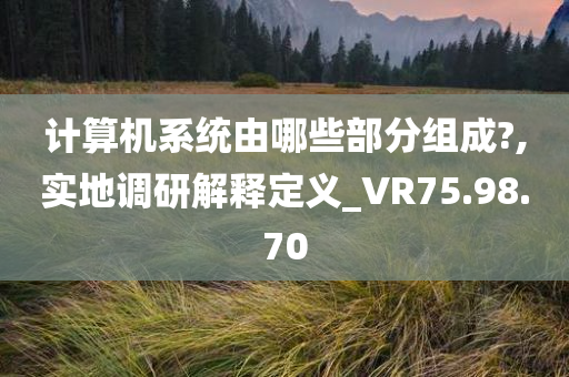 计算机系统由哪些部分组成?,实地调研解释定义_VR75.98.70