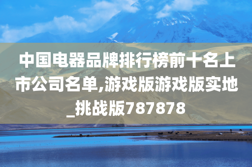 中国电器品牌排行榜前十名上市公司名单,游戏版游戏版实地_挑战版787878