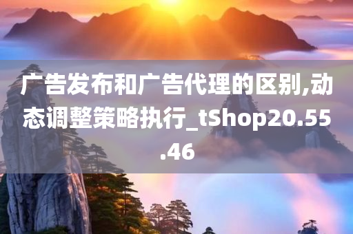 广告发布和广告代理的区别,动态调整策略执行_tShop20.55.46