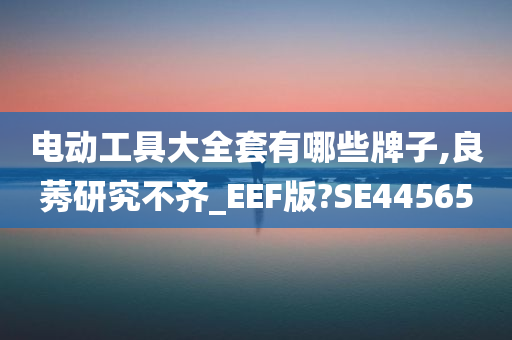 电动工具大全套有哪些牌子,良莠研究不齐_EEF版?SE44565