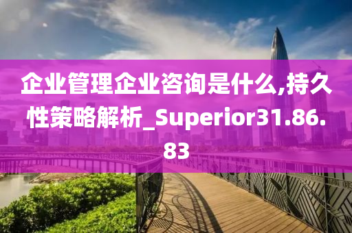 企业管理企业咨询是什么,持久性策略解析_Superior31.86.83