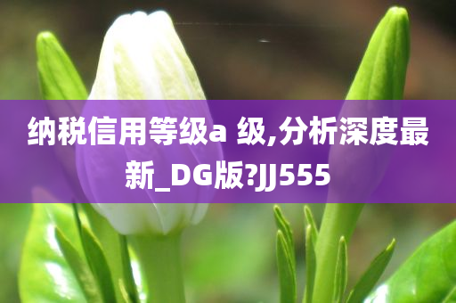 纳税信用等级a 级,分析深度最新_DG版?JJ555