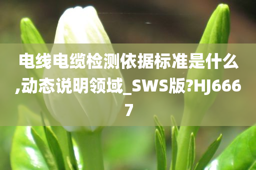 电线电缆检测依据标准是什么,动态说明领域_SWS版?HJ6667