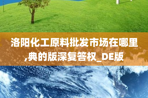 洛阳化工原料批发市场在哪里,典的版深复答权_DE版