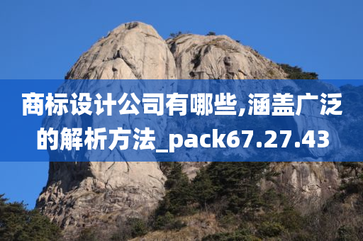 商标设计公司有哪些,涵盖广泛的解析方法_pack67.27.43