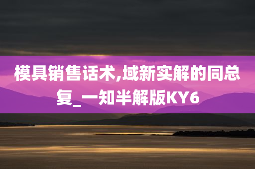 模具销售话术,域新实解的同总复_一知半解版KY6