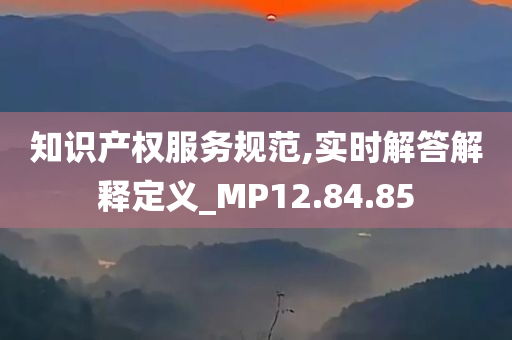 知识产权服务规范,实时解答解释定义_MP12.84.85