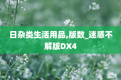 日杂类生活用品,版数_迷惑不解版DX4