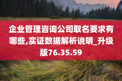 企业管理咨询公司取名要求有哪些,实证数据解析说明_升级版76.35.59