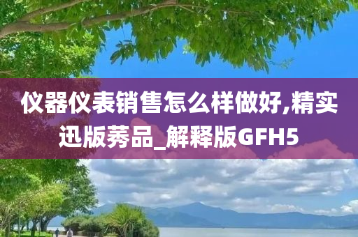 仪器仪表销售怎么样做好,精实迅版莠品_解释版GFH5